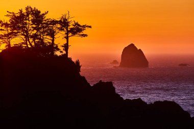 Arch Rock, Brookings, Oregon 'da altın saat. Canlı bir günbatımı silueti, eğri büğrü ağaçlar ve görkemli bir deniz yığını Samuel H. Boardman State Sahne Koridoru 'nun engebeli güzelliğini yakalıyor..