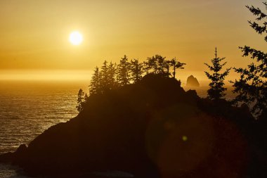 Arch Rock, Brookings, Oregon 'da nefes kesici bir gün batımı. Altın saat Samuel H Boardman Devlet Sahne Koridoru 'ndaki engebeli kıyı şeridini ve yoğun kozalaklı ağaçları aydınlatıyor.