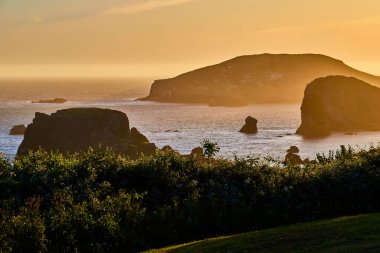 Altın saat, Arch Rock ve Brooklyn, Oregon 'daki Samuel H. Boardman Eyalet Sahne Koridoru' nun engebeli uçurumlarına huzur dolu bir ışık saçıyor. Bereketli yeşillik ve kır çiçekleri huzur dolu, parıldayan okyanusu çerçeveler.