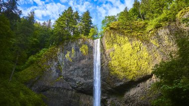 Laourell Falls 'un, yemyeşil Columbia Vadisi, Oregon' daki yosun kaplı bir uçurumdan aşağı yuvarlanışının nefes kesen görüntüsü. Bu sakin doğal sahne çarpıcı güzelliği ve sükuneti yakalar.