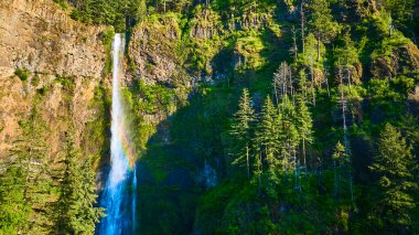 Majestic aerial view of Multnomah Falls cascading down a rugged cliff in Oregons Columbia Gorge with a vibrant rainbow at the base, surrounded by lush conifers. Perfect for travel, nature, and clipart