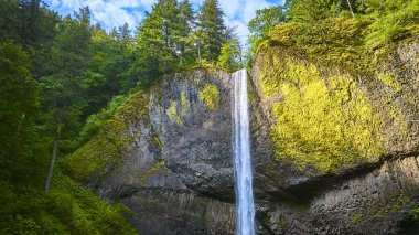 Laourell Falls 'un Oregon' daki yemyeşil Columbia Vadisi 'ndeki hava manzarası. Şelale, yosun kaplı uçurumların üzerinden, yoğun ormanlarla çevrili, kayalık bir havzaya dökülüyor. Seyahat, doğa ve eko için mükemmel.