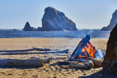 Vibrant bonfire on sandy beach at Harris Beach State Park, Oregon. Driftwood adds rustic charm while waves crash against towering rock formations. Perfect for travel, outdoor adventure, or clipart