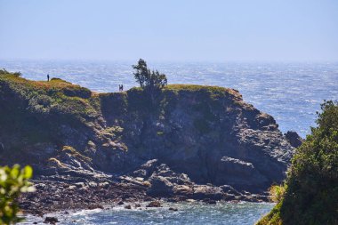 Kaşifler, Oregon Chetco Point Parkı 'ndaki yeşil bir uçurumun tepesinde durup Pasifik Okyanusu' nun parıldayan yüzüne bakıyorlar. Yüksek avantaj, engin sakin kıyı manzarasını yakalar, macerayı doğayla harmanlar.