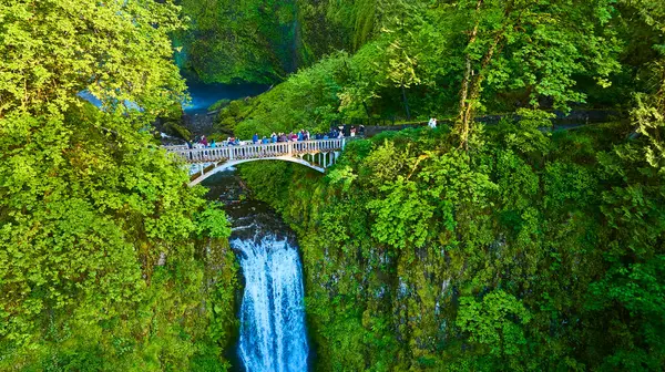 Oregonlar Kolombiya Boğazı 'ndaki Multnomah Şelalesi' nin havadan görünüşü. Turistlerle süslenmiş taş bir köprü, güçlü şelalenin ve dingin şelalenin tadını çıkarmak için nefes kesici bir bakış açısı sunan yemyeşil kanyon boyunca uzanır.