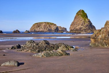 Samuel H. Boardman State Sahne Koridoru, Brookings, Oregon 'daki Whaleshead Sahili' nde sakin bir deniz manzarası. Engebeli deniz yığınları, yemyeşil bitki örtüsü ve güneşli kumlar batıda güzel bir sahil manzarası yaratır.