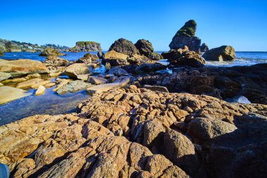 Rugged beauty of Brookings, Oregons Harris Beach State Park. Dramatic rock formations meet the serene blue ocean under a bright sky, showcasing natures raw power and tranquil solitude. Perfect for clipart