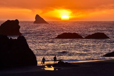 Serene sunset at Harris Beach State Park, Oregon. Two people stroll along the sandy shore as golden and orange hues reflect on the ocean. Rugged rock formations rise from the sea, creating a clipart