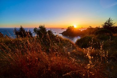 Arch Rock, Brookings, Oregon 'da altın gün batımı. Aydınlanmış otlarla, engebeli uçurumlarla ve sakin yansıtıcı denizle sakin bir sahil manzarası. Huzur, doğal güzellik ve seyahat temaları için mükemmel.