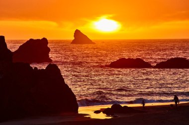 Golden sunset over the rugged coastline of Harris Beach State Park in Brookings, Oregon. A family and their dog silhouette against the vibrant sky, capturing the essence of tranquil seaside moments on clipart