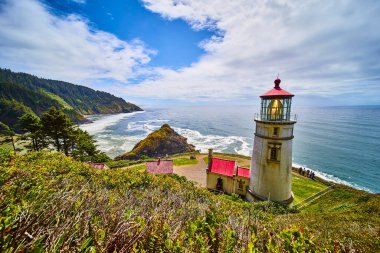 Floransa, Oregon 'daki Majestic Heceta Baş Feneri yemyeşil ve kır çiçekleriyle çevrili engebeli Pasifik Kuzeybatı kıyı şeridine bakıyor.
