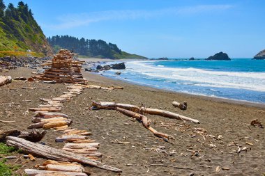 DeMartin Beach, Klamath, California 'da sakin bir gün. Dalgalar parlak güneşin altında kumlu sahillere doğru sürükleniyor. Pasifiğin kuzeybatı engebeli kıyı şeridi ve yemyeşil yemyeşil sakin ve doğal bir ortam yaratır.