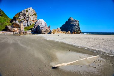 Oregon Harris Beach Eyalet Parkı 'ndaki sakin sahil sahnesinde dramatik kaya oluşumları, esnek bitki örtüsü ve berrak mavi bir gökyüzünün altında ıssız bir kumsalda yüzen yağış..