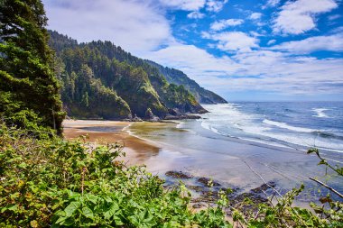 Oregon 'daki Heceta Head Deniz Feneri' ndeki kumlu sahil ve Pasifik Okyanusu kıyı şeridinin sakin gündüz manzarası. Engebeli kayalıklar ve yemyeşil çerçeve bu sakin deniz manzarası, eko-turizmi desteklemek için mükemmel.