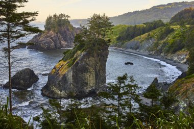 Altın saat boyunca Oregon 'daki Samuel H Boardman Eyalet Sahne Koridoru' nun görkemli sahil kayalıkları. Engebeli kaya oluşumları ve sık orman dinamik okyanus sularıyla buluşuyor. Doğa ve seyahat için ideal.
