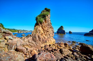 Oregon Harris Beach Eyalet Parkı 'nın dramatik kaya zirvesi canlı mavi okyanusa karşı dimdik ayakta duruyor. Bereketli yeşillikler engebeli oluşumlar, bu kıyıların el değmemiş vahşi güzelliklerini yakalıyorlar.