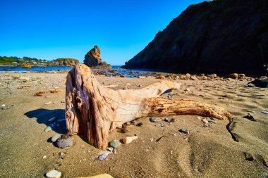 Weathered driftwood on Brookings Harris Beach State Park offers a stunning view of rugged coastlines and clear blue skies, capturing the timeless beauty of Oregons west coast. Ideal for travel and clipart