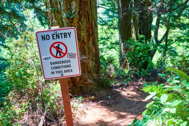 No Entry sign warning of dangerous conditions in lush forest at Arch Rock, Samuel H. Boardman State Scenic Corridor, Oregon. Emphasizes the need for caution amid the beauty of this natural park. clipart