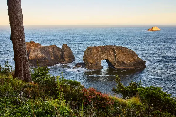 Arch Rock, Brookings, Oregon 'da Samuel H. Boardman Eyalet Sahne Koridoru' nda altın saat sükuneti. Engebeli uçurumlar, yemyeşil yemyeşil ve doğal bir kaya kemeri engin genişlikle kusursuz bir şekilde harmanlanır.