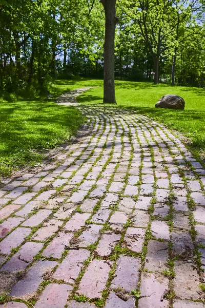 stock image Serene brick pathway winds through lush greenery in Memorial Park, Huntington, Indiana. Sunlit trees and natural overgrowth create a tranquil escape, perfect for themes of nature, relaxation, and