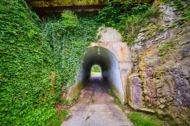 Indiana 'daki büyüleyici Huntington Batık Bahçeleri' ni keşfedin. Orada bereketli sarmaşık ve yaşlanmış taş duvarlar gizemli bir tünelle buluşur. Doğayı tarihle harmanlayıp keşfe davet ederler. Macera için mükemmel.