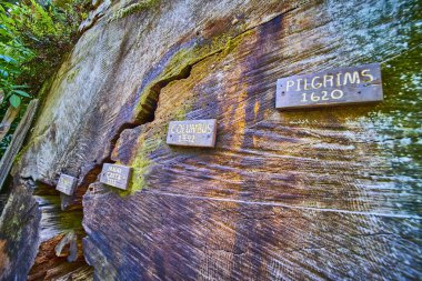 Kaliforniya 'da Klamath Sekoyası' nda Magna Carta 1215 ve Columbus 1492 gibi tarihi işaretleri olan bir ağaç kesitinin yakın çekimi. Ağaç halkaları, tarihi harmanlayarak, zamanın geçişini canlı bir şekilde gösterir.