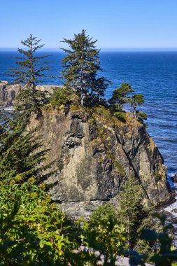 Samuel H. Boardman Eyalet Sahne Koridoru, Oregon 'daki engebeli Arch Rock uçurumları, Pasifik Okyanusu' na bakıyor. Uzun kozalaklı ağaçlar açık mavi bir rüzgarın altında kıyı rüzgarlarına karşı dirençlidir.