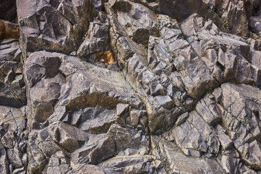 Oregon 'daki Indian Beach' te engebeli kaya oluşumlarına yakın çekim. Sivri kayaların gri, paslı turuncu renkleri ve yeşil yosun ipuçlarıyla detaylı dokuları. Doğal güzelliğin çarpıcı bir gösterisi ve...