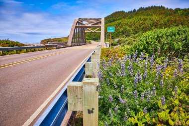 Floransa, Oregon 'daki Big Creek Köprüsü' nün sakin manzarası. İyi korunan yol, canlı kır çiçekleri ve yemyeşil orman seyahat ve doğa meraklıları için mükemmel bir manzara yaratır..