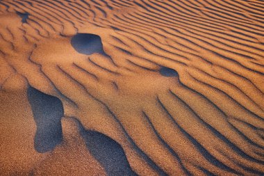 Gold Beach, Oregon 'da altın saat: Sıcak ışık ve derin gölgelerle vurgulanmış karmaşık desenlere ve dokulara sahip rüzgar aşınmış kum tepeciklerine yakın çekim. Huzurlu ve el değmemiş çöl manzarası boyunca