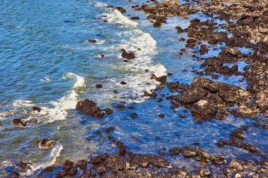 Dalgalar Brookings, Oregon 'daki Chetco Point Parkı' nın engebeli kayalıklarına çarpıyor. Bu manzaralı kıyı manzarası Batı Kıyıları 'nın dinamik güzelliğini yansıtıyor..