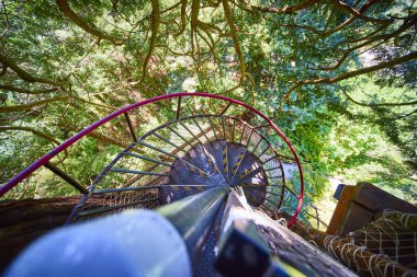 Kaliforniya 'daki Klamath Sekoya ağaçlarındaki gür orman tepe örtüsünde kıvrılan kırmızı tırabzanlı yüksek açılı merdiven manzarası. Macera doğaya atılan her adımda bekliyor.