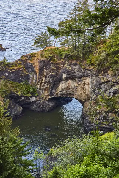 stock image Stunning coastal rock formation at Natural Bridge, Samuel H. Boardman State Scenic Corridor, Oregon. Rugged coastline framed by lush forest and calm waters, perfect for travel and nature themes.