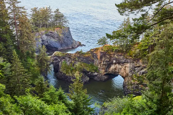 stock image Breathtaking coastal landscape at Natural Bridge, Samuel H. Boardman State Scenic Corridor, Oregon. Discover rugged cliffs, a stunning sea arch, and lush evergreen forests along the Pacific Northwest