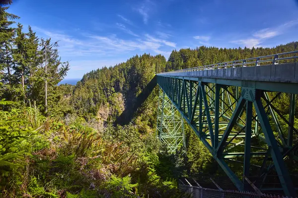 stock image Thomas Creek Bridge towers over a lush forested canyon in the Samuel H. Boardman State Scenic Corridor, Brookings, Oregon. A marvel of engineering harmonized with the Pacific Northwests natural