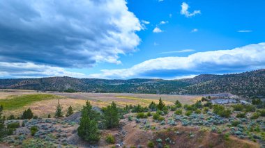 Yuvarlanan tepeleri ve dinamik bir gökyüzü altında sert çalıları olan engebeli Oregon manzarası. Bu uzak, el değmemiş manzara doğanın güzelliğini ve enginliğini yakalar. Yolculuk için mükemmeldir.