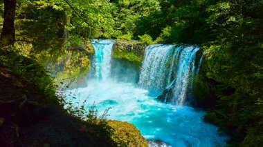 Washington, Columbia Vadisi 'ndeki Spirit Falls' un hava görüntüsü. İkiz çağlayanlar, yemyeşil ormanın ortasında turkuaz bir havuza yuvarlanarak doğal aşıklar ve seyahat için mükemmel dingin ve mistik bir atmosfer yaratırlar.