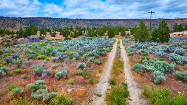 Engebeli Oregon manzarasının havadan görünüşü, bilge çalı ve çalıların arasından geçen dolambaçlı toprak bir yol, bulutlu bir gökyüzü altında, uzak keşiflerin ve doğal yaşamın özünü yakalıyor.