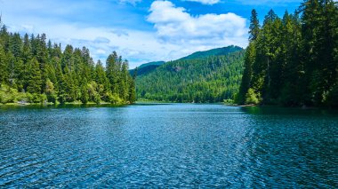 Oregon 'da berrak mavi gökyüzünün altında yemyeşil ormanlarla çevrili durgun bir Clearwater Gölü' nün havadan görünüşü. Doğa geri çekilmeleri, korunma ve el değmemiş el değmemiş vahşi doğa temaları için mükemmel.