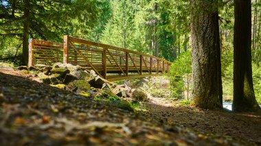 Idleyld Park, Oregon 'da sakin bir dere boyunca uzanan renkli bir köprünün hava manzarası. Güneş ışığı yemyeşil ağaçların arasından süzülür, serin bir orman yolu yaratır macera için mükemmel ve
