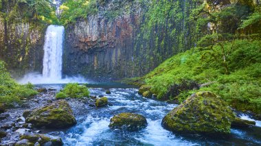 Majestic Abiqua Şelalesi Oregon 'daki yemyeşil yemyeşil bir nehre dökülüyor. Bu hava manzarası Scotts Mills 'in saf güzelliğini yansıtıyor. Doğal manzaralar, seyahat için mükemmel.