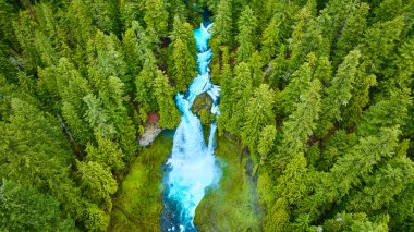 McKenzie Nehri 'nin, Sahalie Şelalesi, Oregon yakınlarındaki sık ormanı ikiye böldüğü hava manzarası. Turkuaz su, el değmemiş doğanın güçlü ve dingin güzelliğini gösteren yemyeşil sularla çelişiyor..
