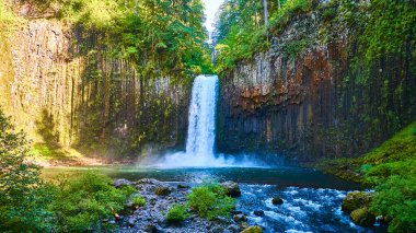 Majestic Abiqua Şelalesi yemyeşil Oregon ormanlarındaki sakin bir havuza dökülüyor. Uzun yosun kaplı bazalt sütunlar güçlü şelaleyi çerçeveler, seyahat ve mükemmel doğal bir manzara yaratır