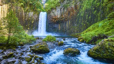 Majestic Abiqua Şelalesi, yosun kaplı kayalıklar ve bazalt sütunlarla çerçevelenmiş Oregonlar 'daki sakin bir nehre dökülüyor. Seyahat, koruma ve doğa temalı projeler için mükemmel..