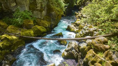 Oregon 'daki Toketee Falls' un havadan görünüşü: Kristal berraklığında turkuaz su, yemyeşil yemyeşil bir yosunla çevrili kayalık bir vadide hızla akıyor, dingin ve canlı bir doğal ortam yaratıyor.