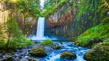 Scotts Mills, Oregon 'daki Abiqua Şelalesi' nin hava manzarası. Güçlü bir şelale, yemyeşil yosun kaplı uçurumlar ve canlı ormanlarla çevrili sakin bir havuza dökülür. Seyahat, doğa ve...
