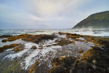 Thors Well, Oregon 'da dramatik bir sahne. Deniz yosunlarıyla kaplı engebeli kıyı kayaları fırtınalı okyanus dalgalarıyla buluşarak küçük şelaleler oluşturuyor. Puslu gökyüzü ve yemyeşil tepe güçlü doğal güzelliği arttırır..