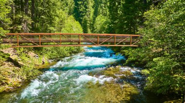 Idleyld Park, Oregon 'da berrak bir nehrin üzerindeki sakin ahşap bir köprünün havadan görünüşü. Yeşillik ve benekli güneş ışığı doğa severler ve doğa meraklıları için mükemmel sakin bir atmosfer yaratır..