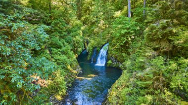 Abiqua Şelalesi 'nin uçaktan görünüşü Oregon' da yemyeşil yemyeşil bir kayalık bir vadiye dönüşüyor. Scotts Mills. Bu sakin orman sahnesi doğayı yansıtıyor, sükuneti, eko-turizm için mükemmel.