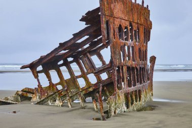 Peter Iredale 'in terk edilmiş Hammond, Oregon sahilindeki gemi enkazının kalıntıları. Paslı kaburgalar ve midyeler yumuşak kumla tezat oluşturuyor, çürüme, tarih ve doğa ıslah temaları çağrıştırıyor..